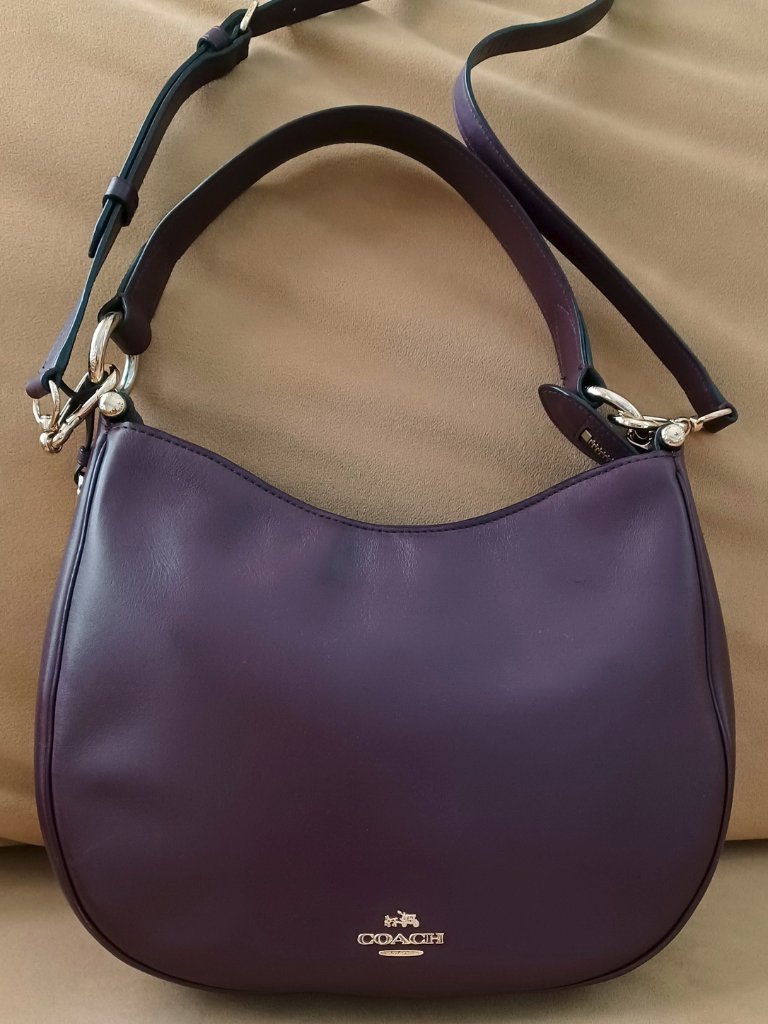 Coach Nomad Leather Convertible Crossbody Hobo Bag